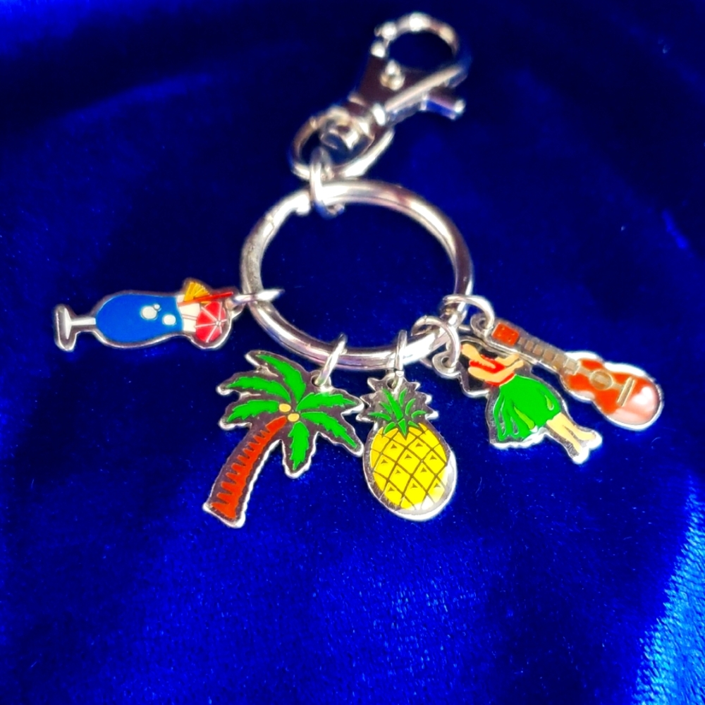 Adorable Hawaiian Key Chain With Charms